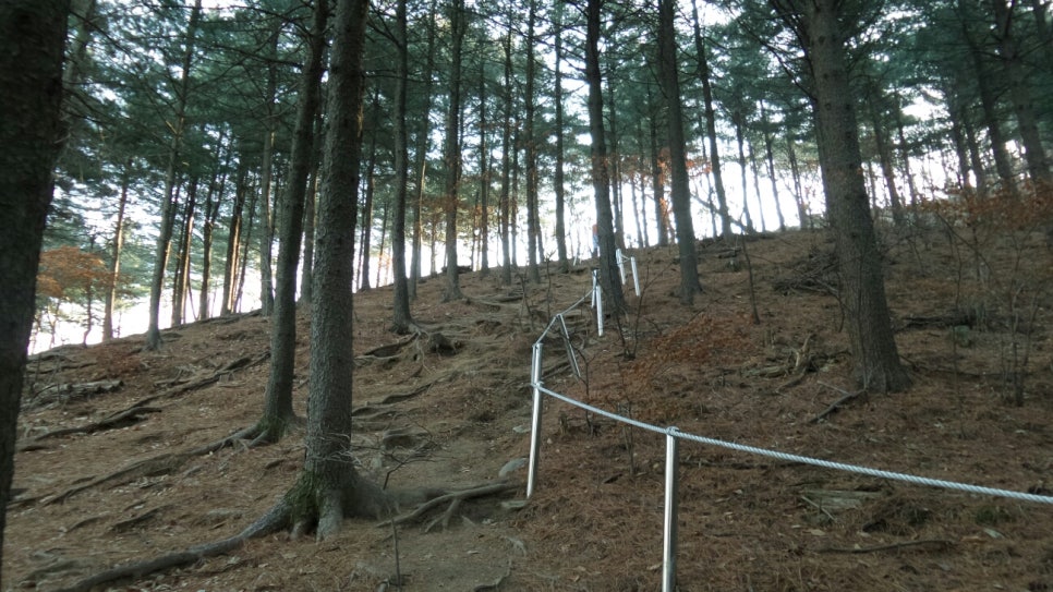 100대 명산 등산하기 다섯번째 유명할 만큼 아름다운 산 유명산 신령스러운 전설과 자연미&amp;#44; 역사문화가 어우러진 산 용문산 연계 산행 