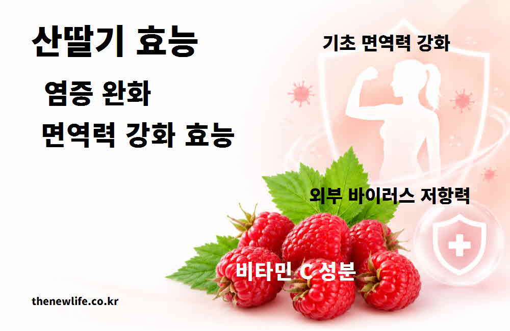 산딸기 효능 염증 완화 면역력 강화