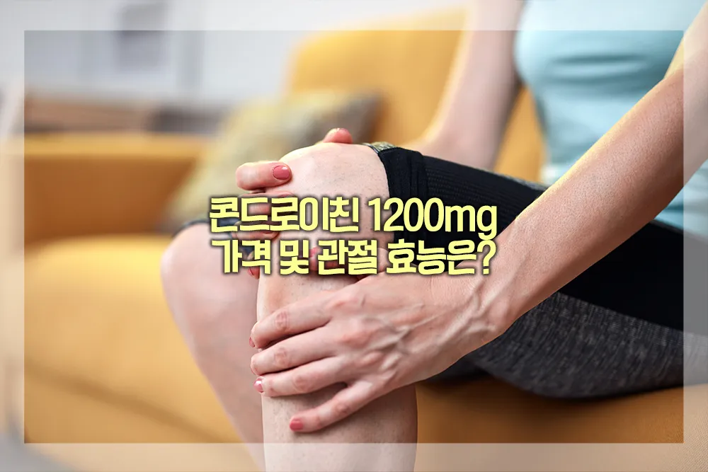 콘드로이친 1200mg 가격 관절 효능