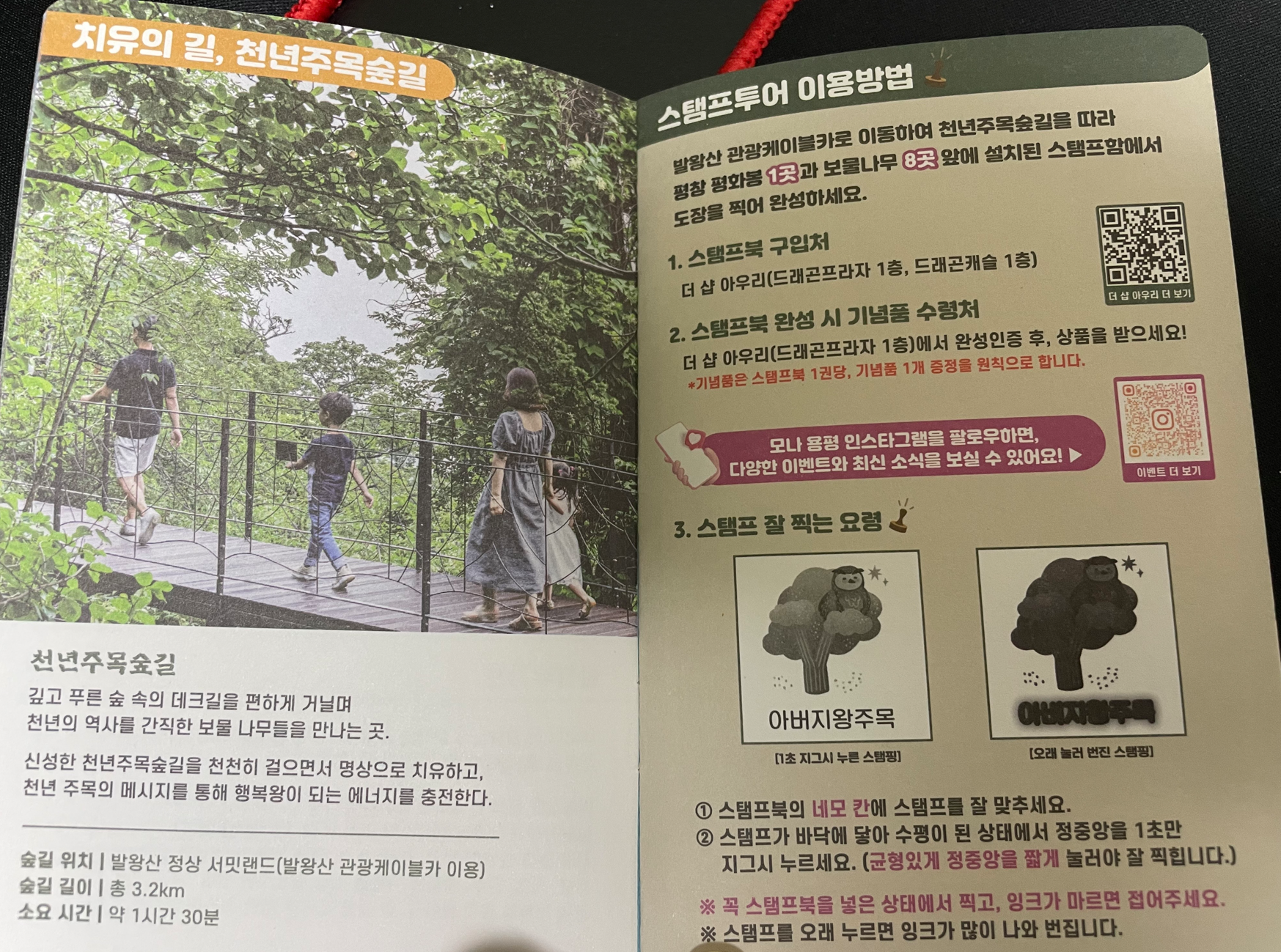 스탬프 확인방법