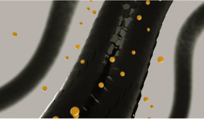 그래비티샴푸성분