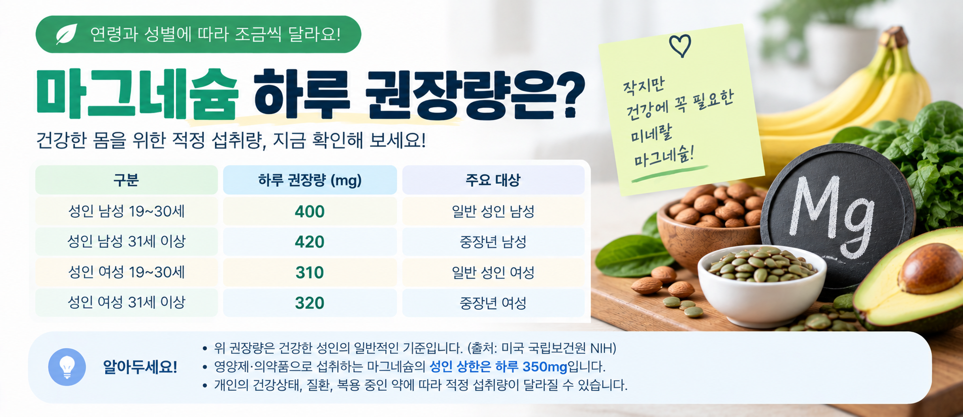마그네슘 하루 권장량 성인 남성 여성 섭취량