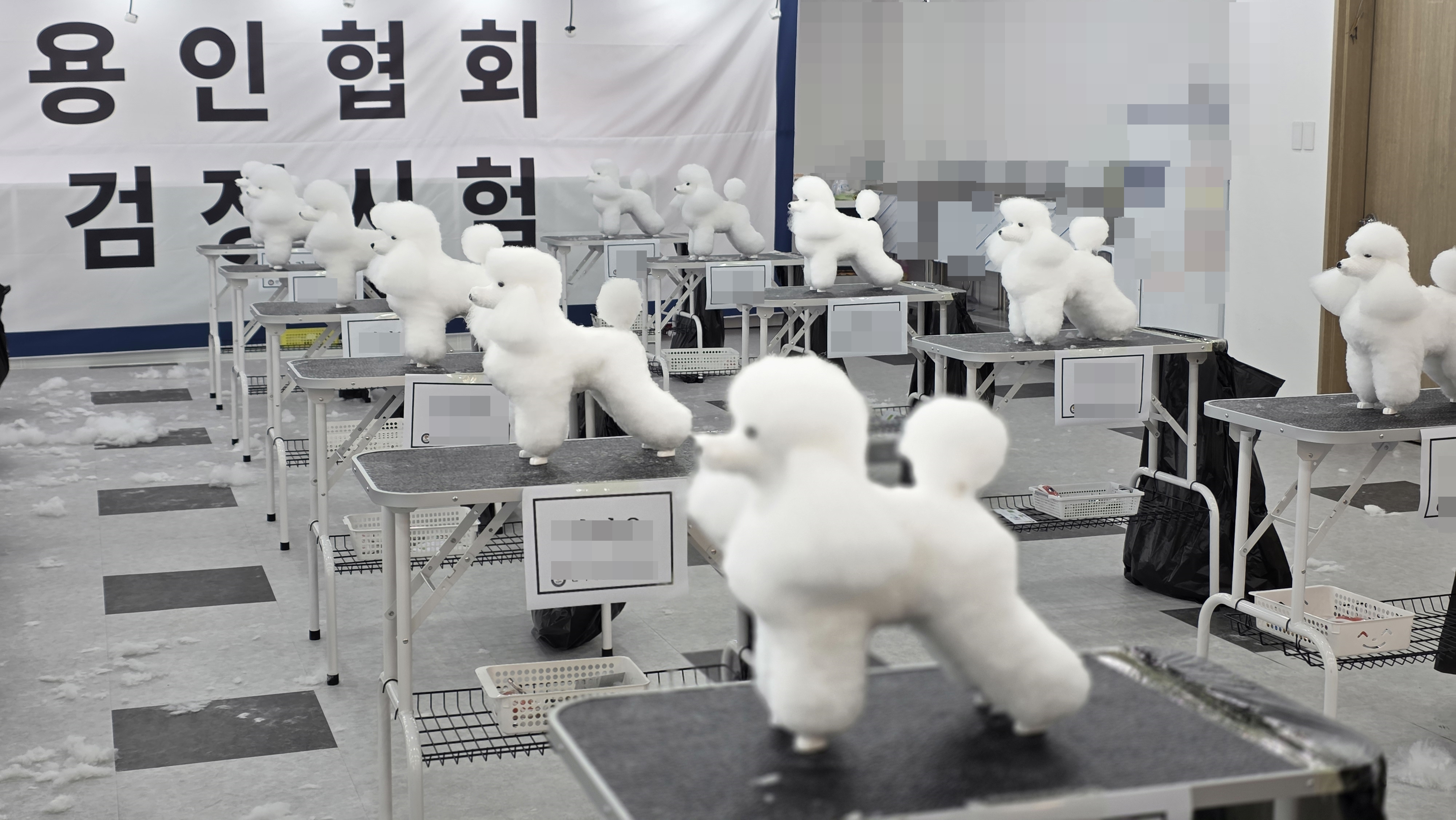 애견미용사자격증3급