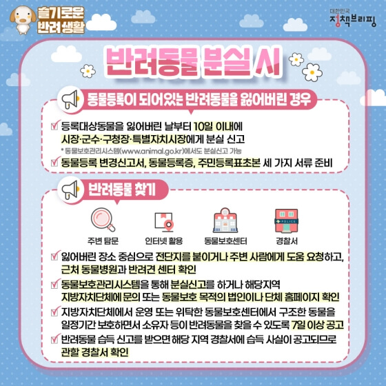 강아지분실