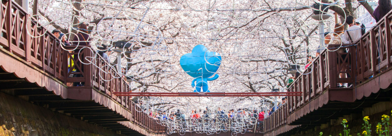 2025 진해 군항제 일정, 주차, 맛집 총정리