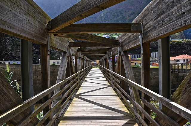 AI5 연대: 삼성-테슬라&amp;#44; 반도체 동맹의 시작