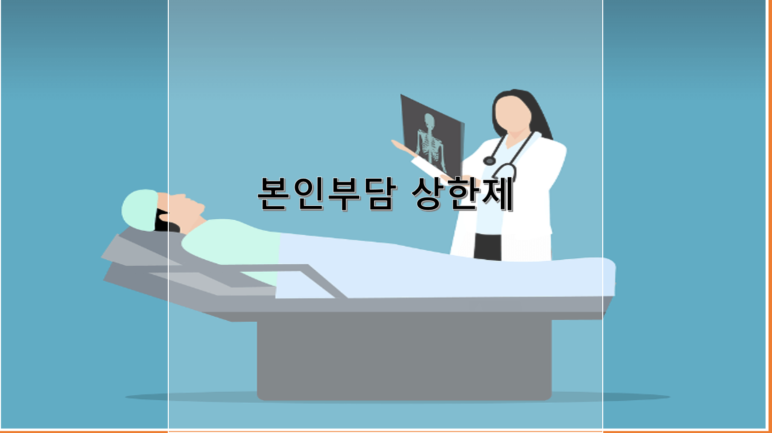 본인부담 상한제
