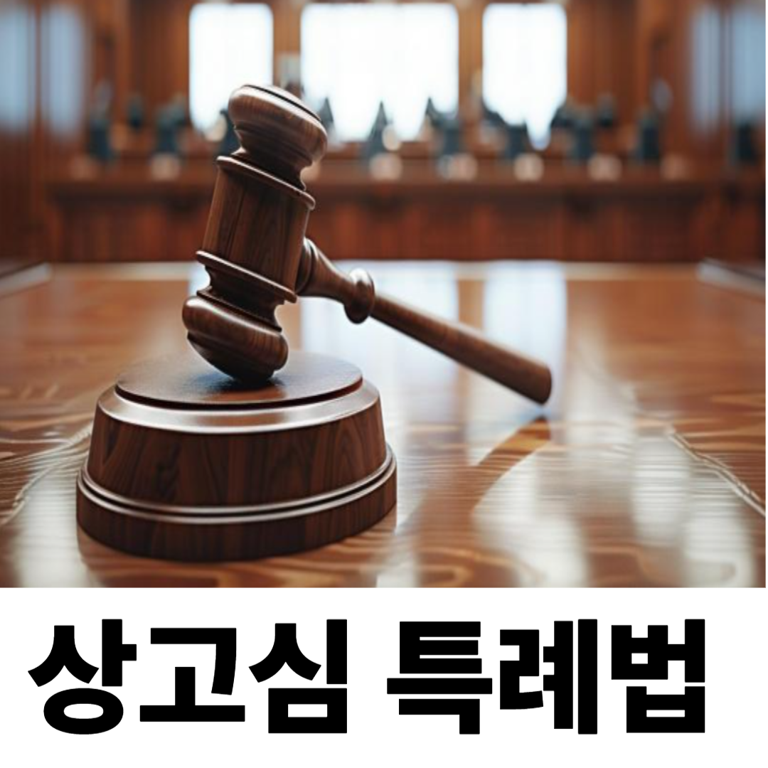 상고심 특례법 도입과 다른나라 사례