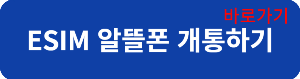 이심요금