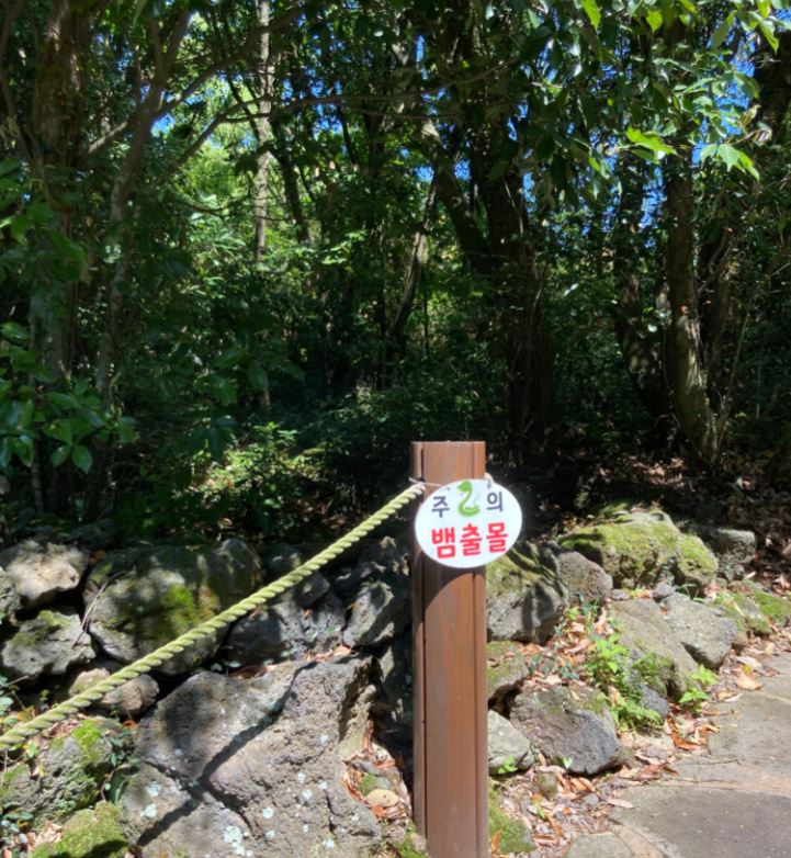 제주 곶자왈 도립공원