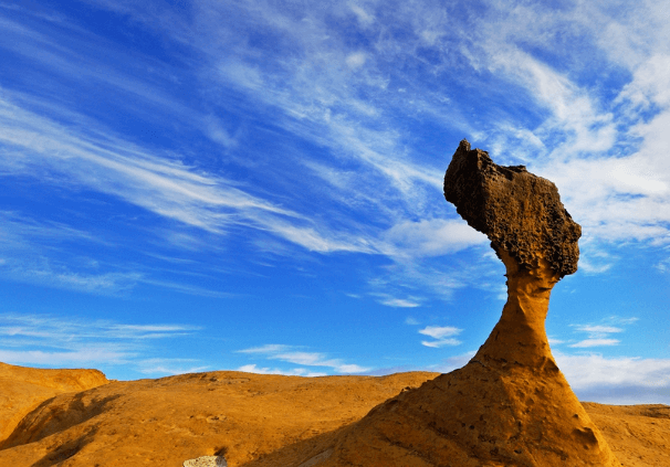 대만 여행지원금 신청 그리고 예류지질공원