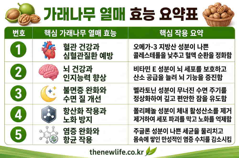 가래나무 열매 효능 요약표