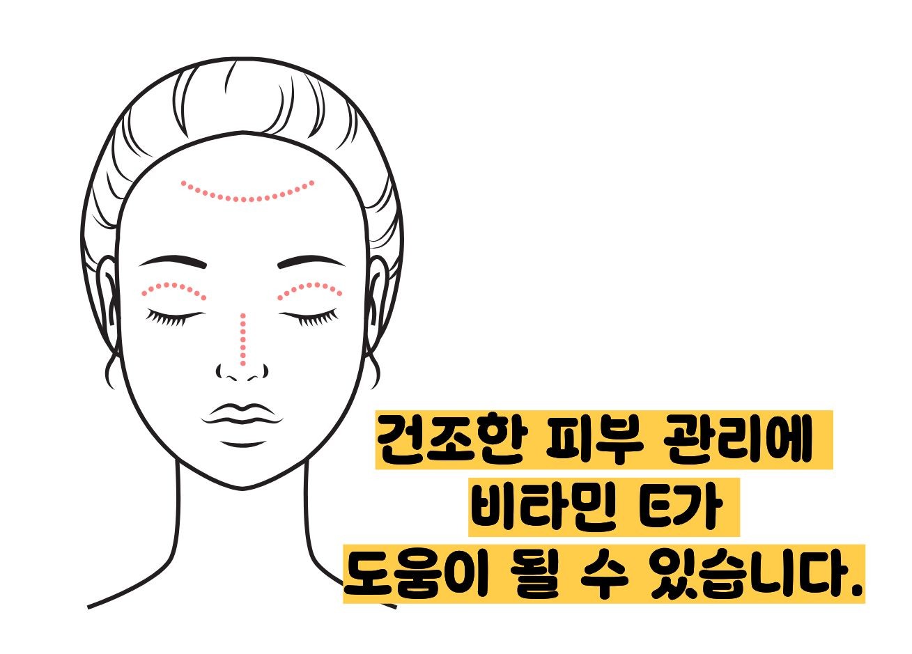 비타민e의 효능