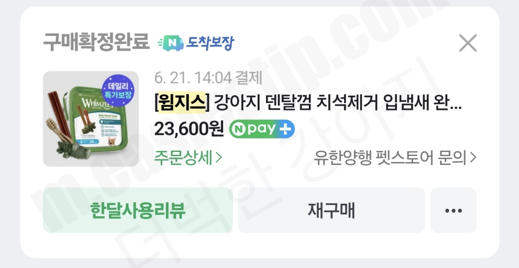 윔지스 덴탈껌 구매내역