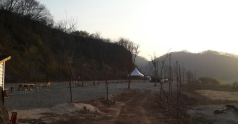 연천 임진강 물꽃캠핑장