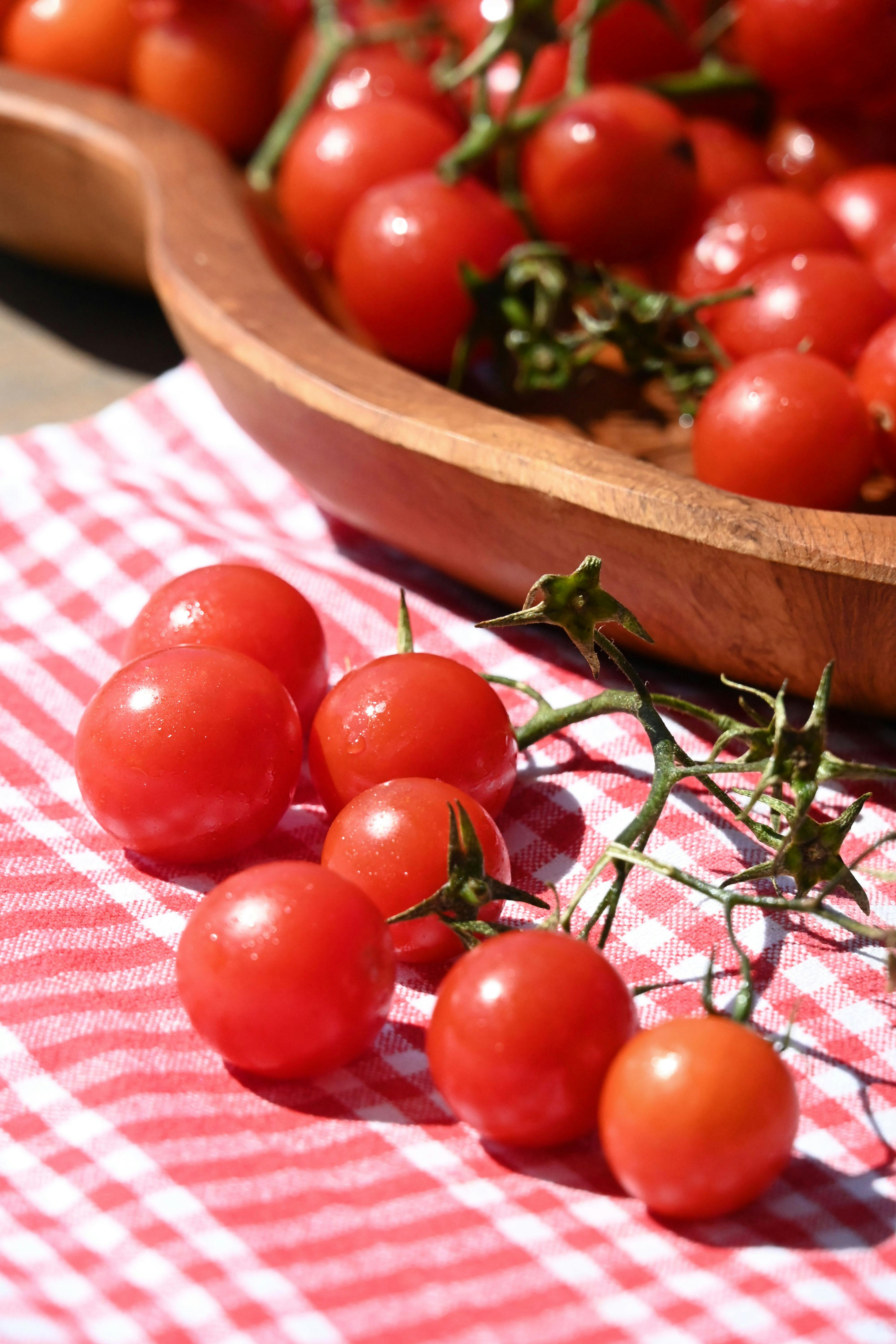간헐적 단식 vs. 식단 조절 (비교,효과,건강)