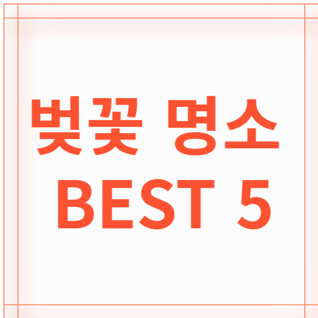 서울 벚꽃 명소 BEST 5