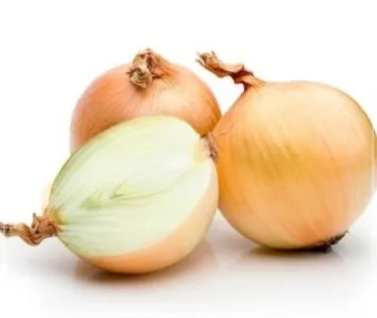 nv_양파 효능_19