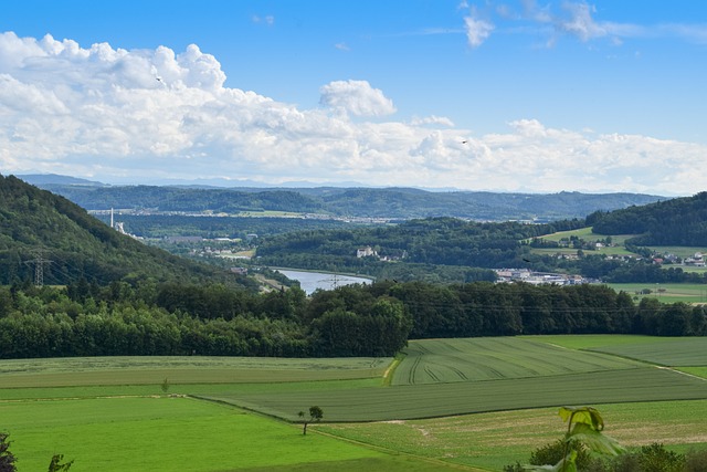 농지대장인터넷발급