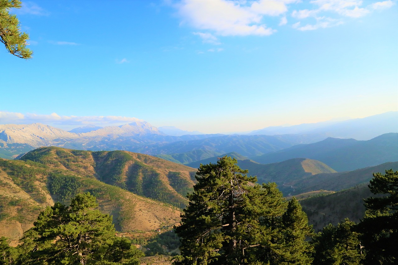 농업경영체등록 확인서 발급