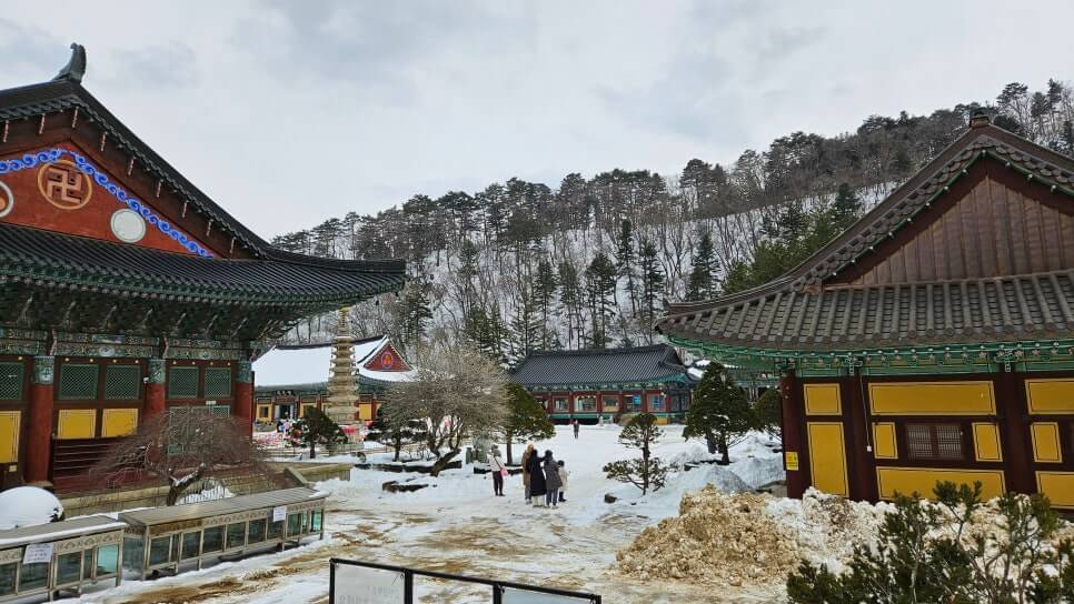 평창 월정사 : 천년의 전나무 숲길과 불교 예술의 정수 한국 불교를 대표하는 산중 대가람