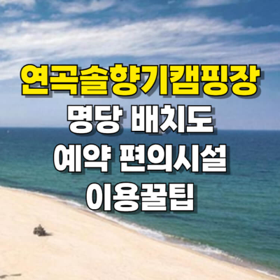 연곡솔향기캠핑장 명당 배치도 편의시설 이용꿀팁