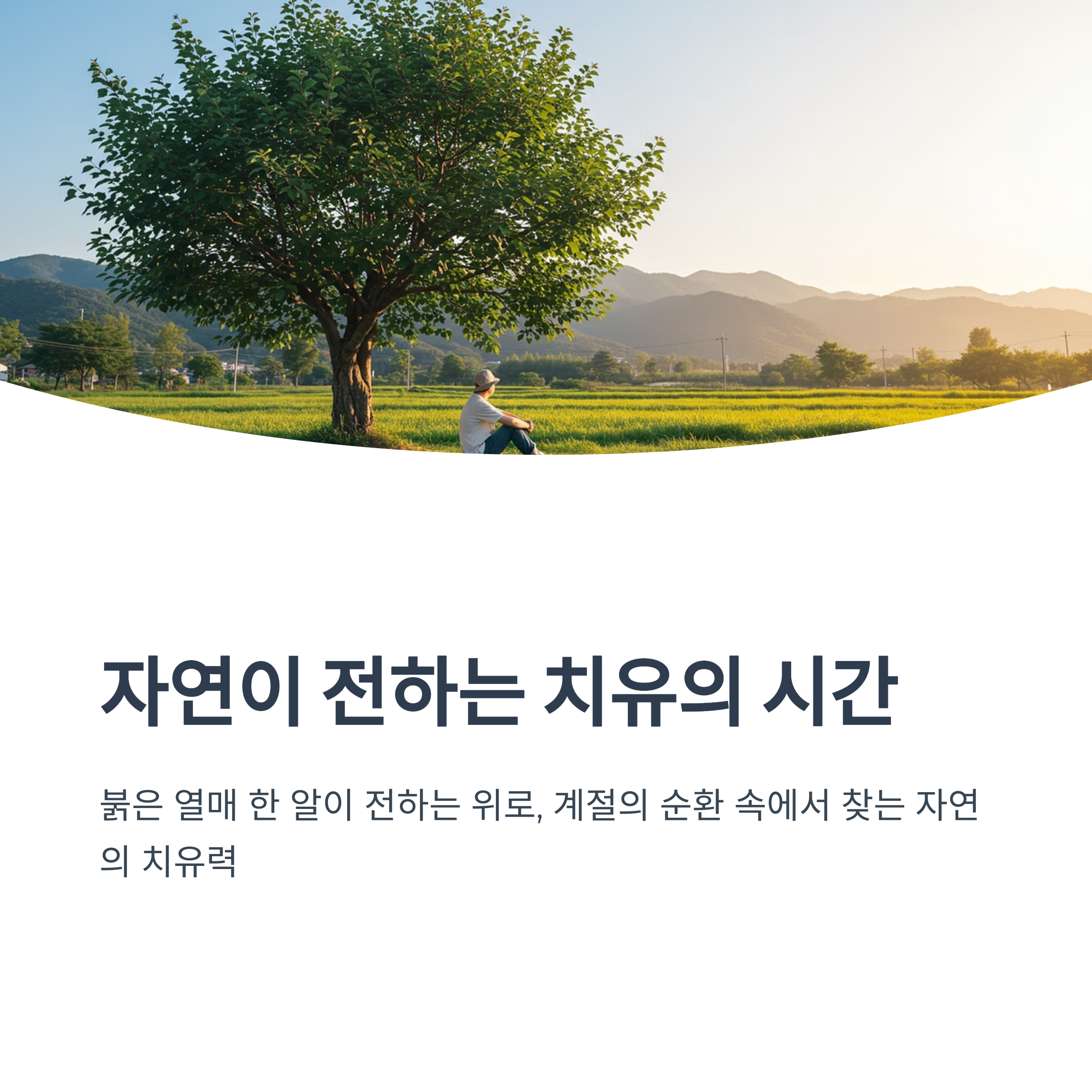 자연치유의 감성 에세이
