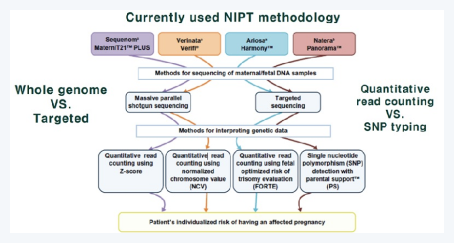 NIPT 분석 방법