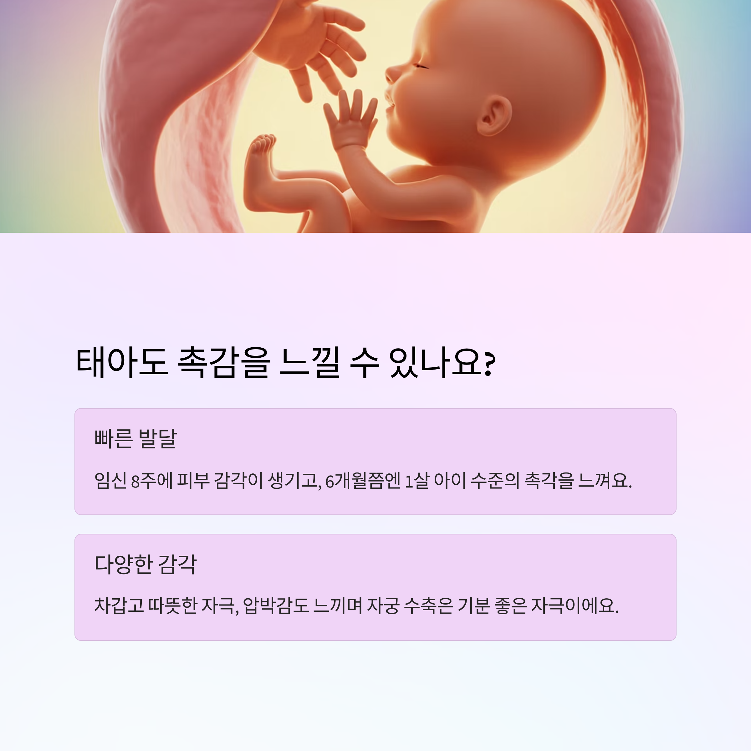 태아의 촉각 발달 시기와 자극에 대한 반응 정보