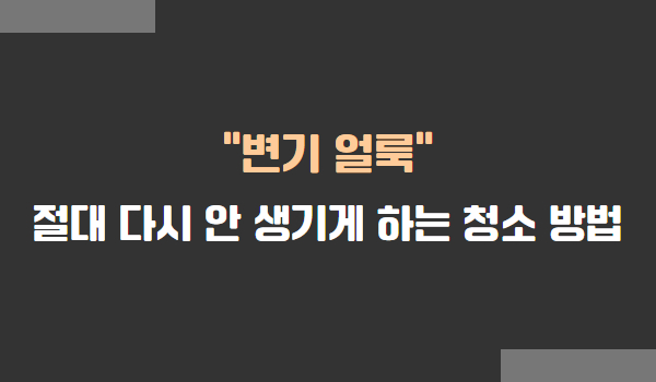 변기 얼룩 청소 방법 및 요령