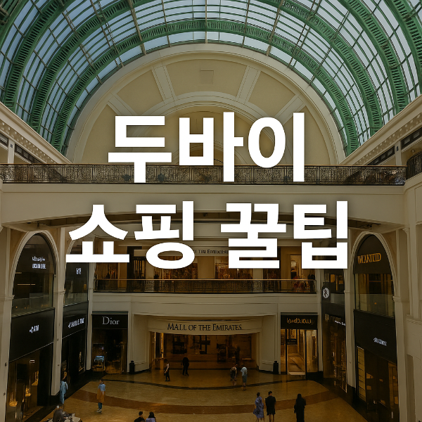 두바이 세일 시즌 완전 정복 및 쇼핑 꿀팁