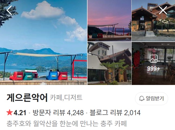 충주 게으른악어 네이버 플레이스