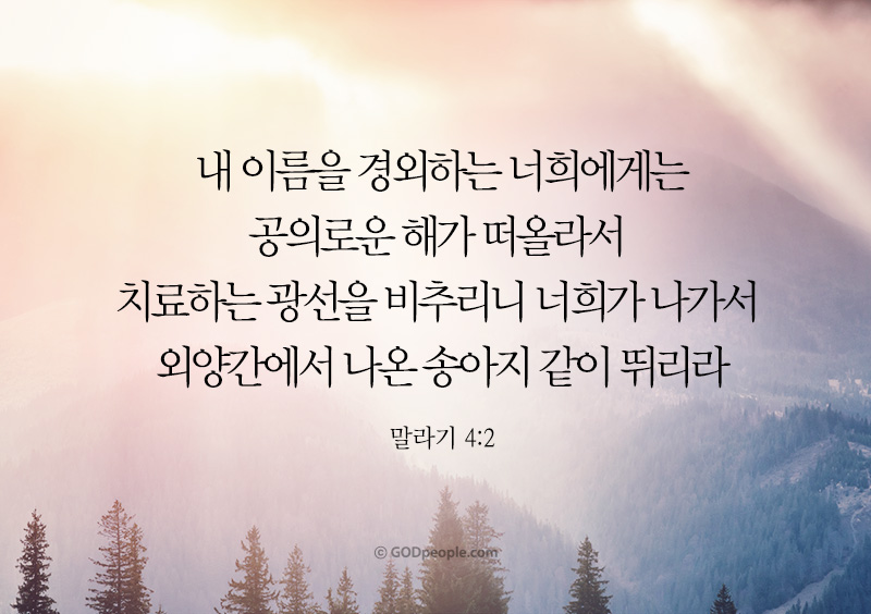 말라기-4장