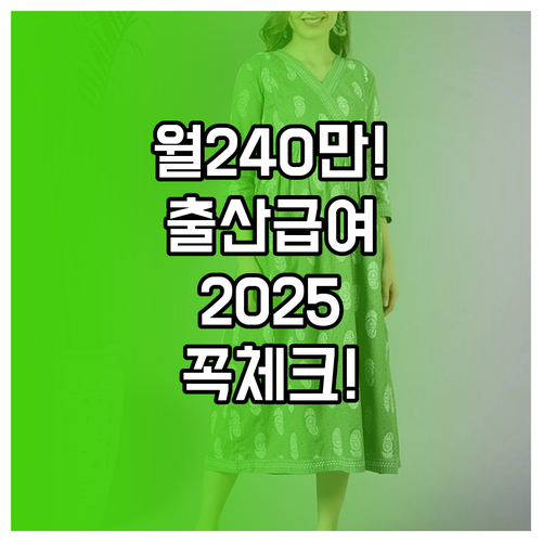출산전후휴가 급여 월 240만 원 지..