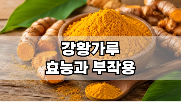 강황가루 효능과 부작용