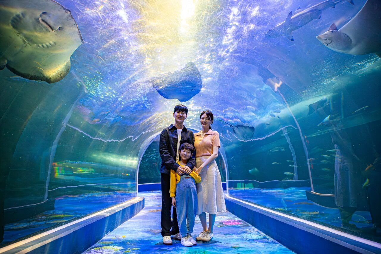 여수-케이블카-주변-관광지-이미지