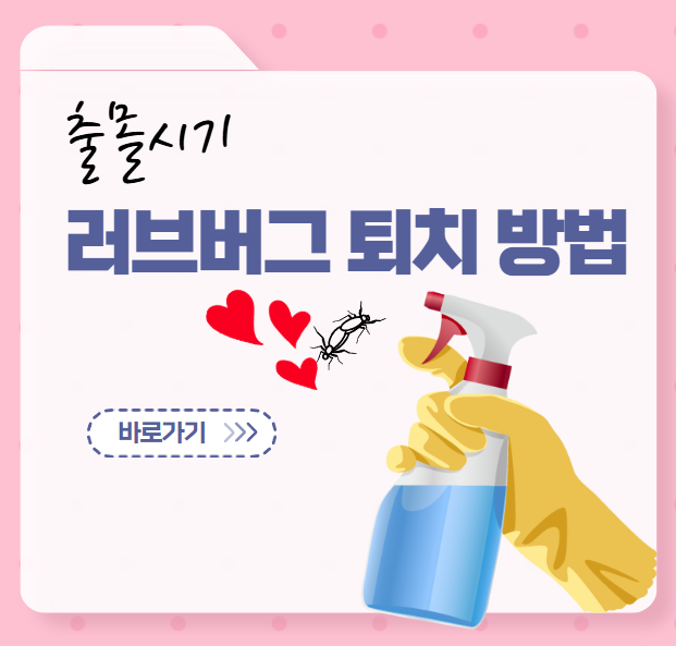 러브버그 출몰 시기 및 수명, 사라지는 시기(+퇴치방법)