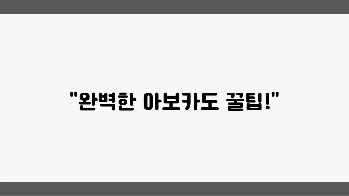 아보카도의 보관법과 관리 방법에 대해 알아보기