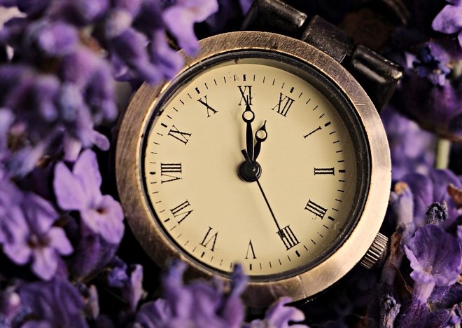 2022년 6월&#44; 7월&#44; 8월&#44; 9월&#44; 10월&#44; 11월&#44; 12월 세무일정(신고&#44; 신청&#44; 납부&#44; 제출기한&#44; 중간예납)