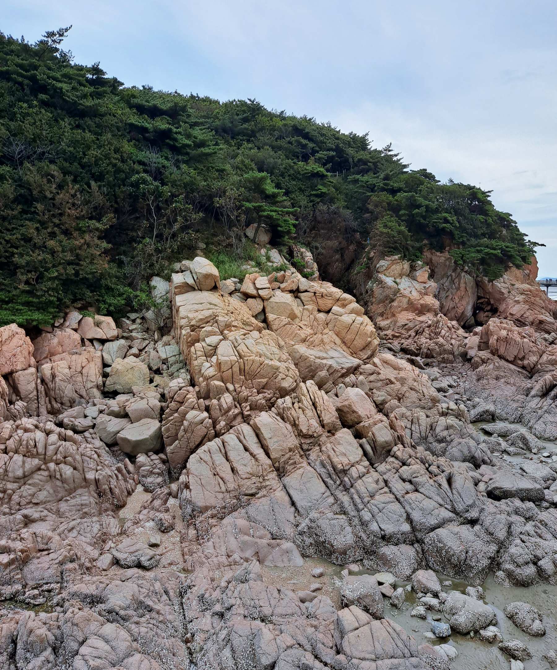 탐방로 밑 기암들