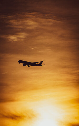 버드 스트라이크란? 의미와 주요 사례, 예방 방안