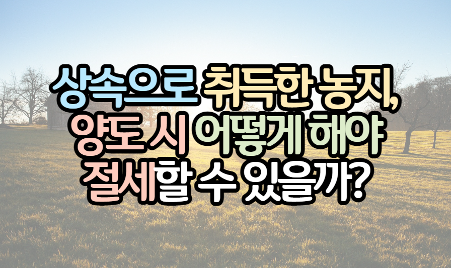 상속-취득-농지-양도세-절세-방법