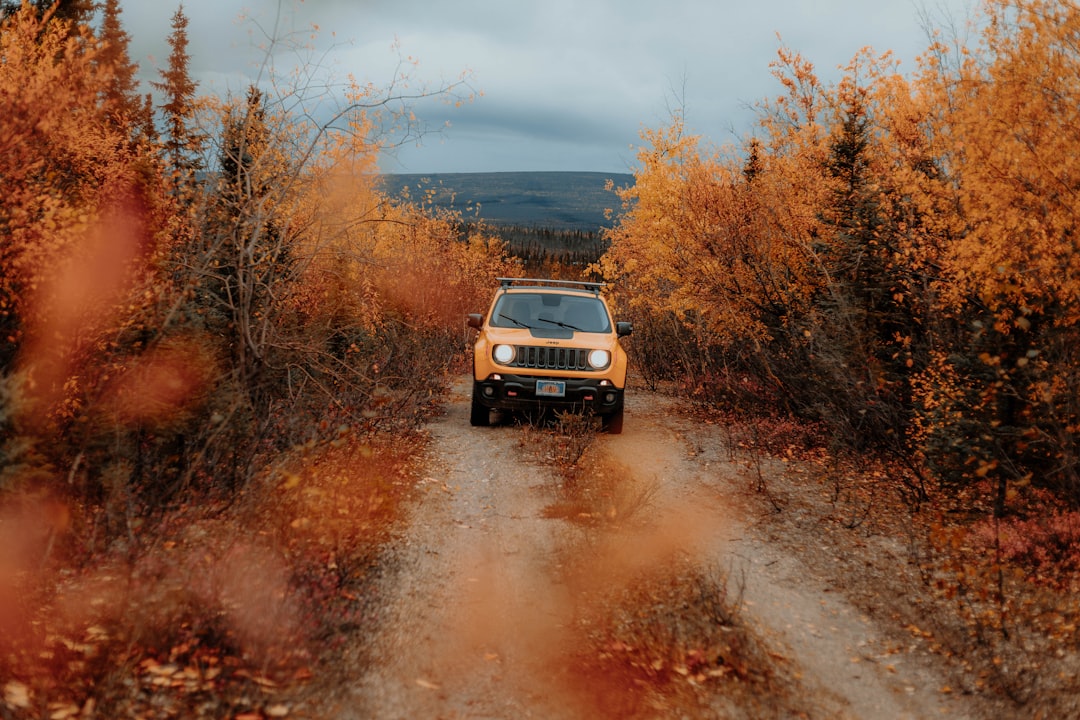 Renegade