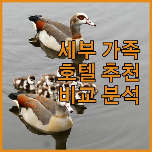 세부 가족여행 호텔 추천 5곳 수영장..