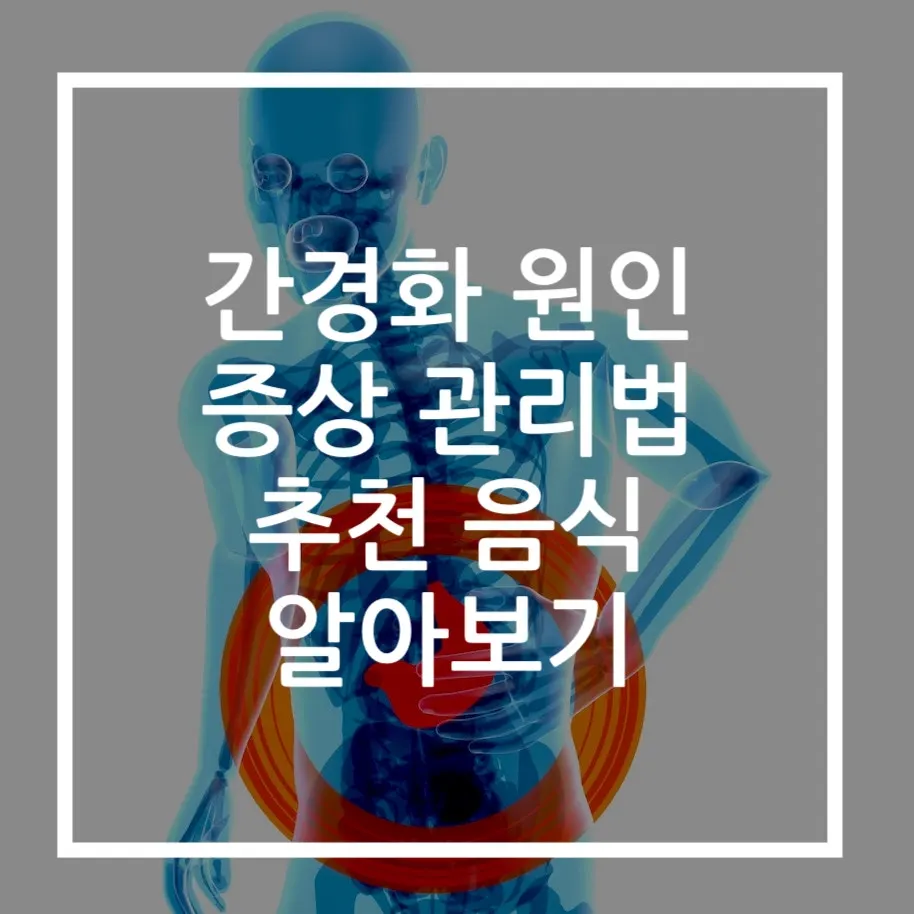 간경화 원인 증상 관리법 추천 음식