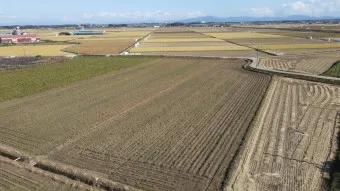 김제 가볼만한곳 베스트10 현지인 추천 필수코스_6
