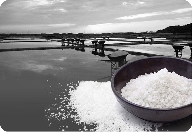 괴산 절임배추 20kg 직거래 가격 이미지 /츨처: SSG이마트몰