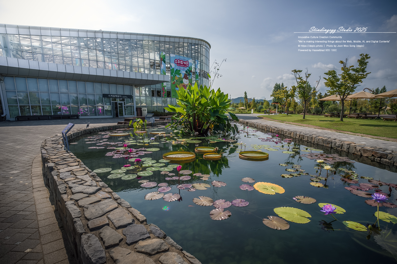 #세종 #수목원 #세종수목원 #온실 #꽃