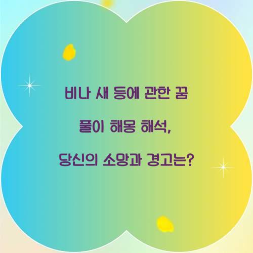 비나 새 등에 관한 꿈 풀이 해몽 해석