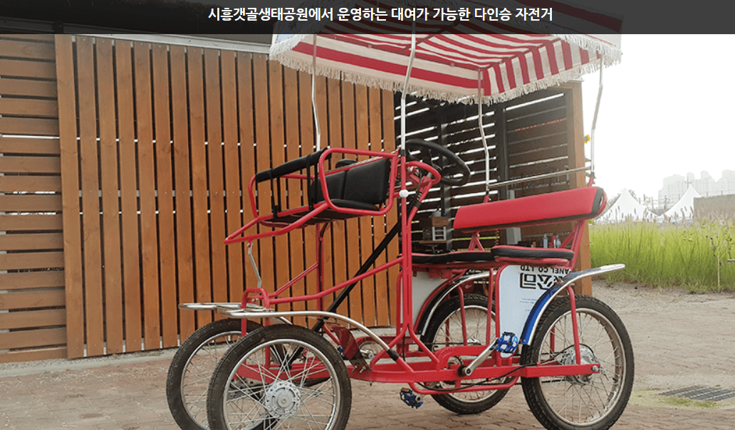 가을여행지 시흥시 갯골공원